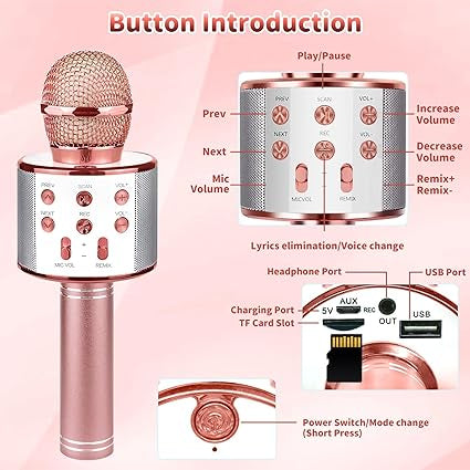 Microphone de karaoké aux couleurs assorties