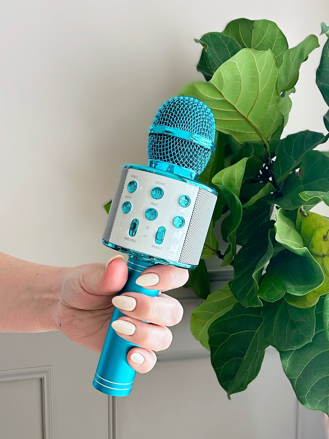 Microphone de karaoké aux couleurs assorties