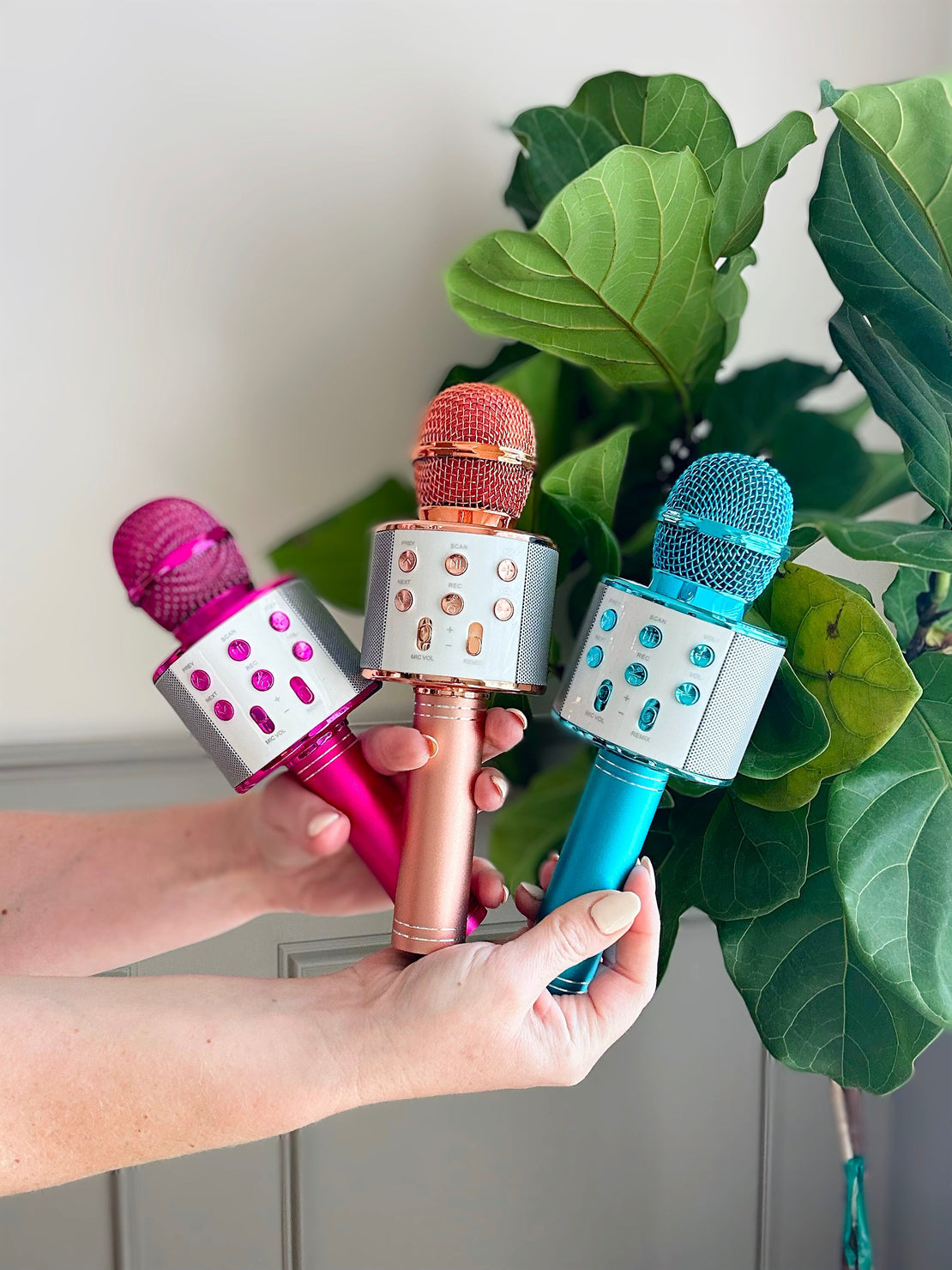 Microphone de karaoké aux couleurs assorties