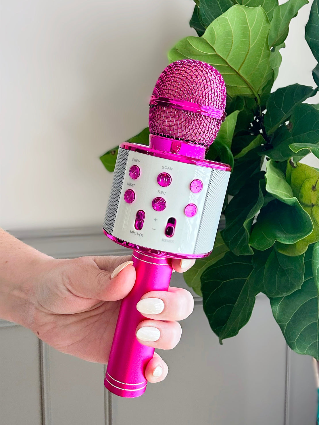 Microphone de karaoké aux couleurs assorties