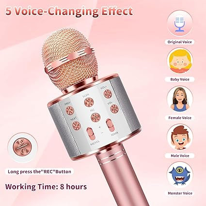 Microphone de karaoké aux couleurs assorties