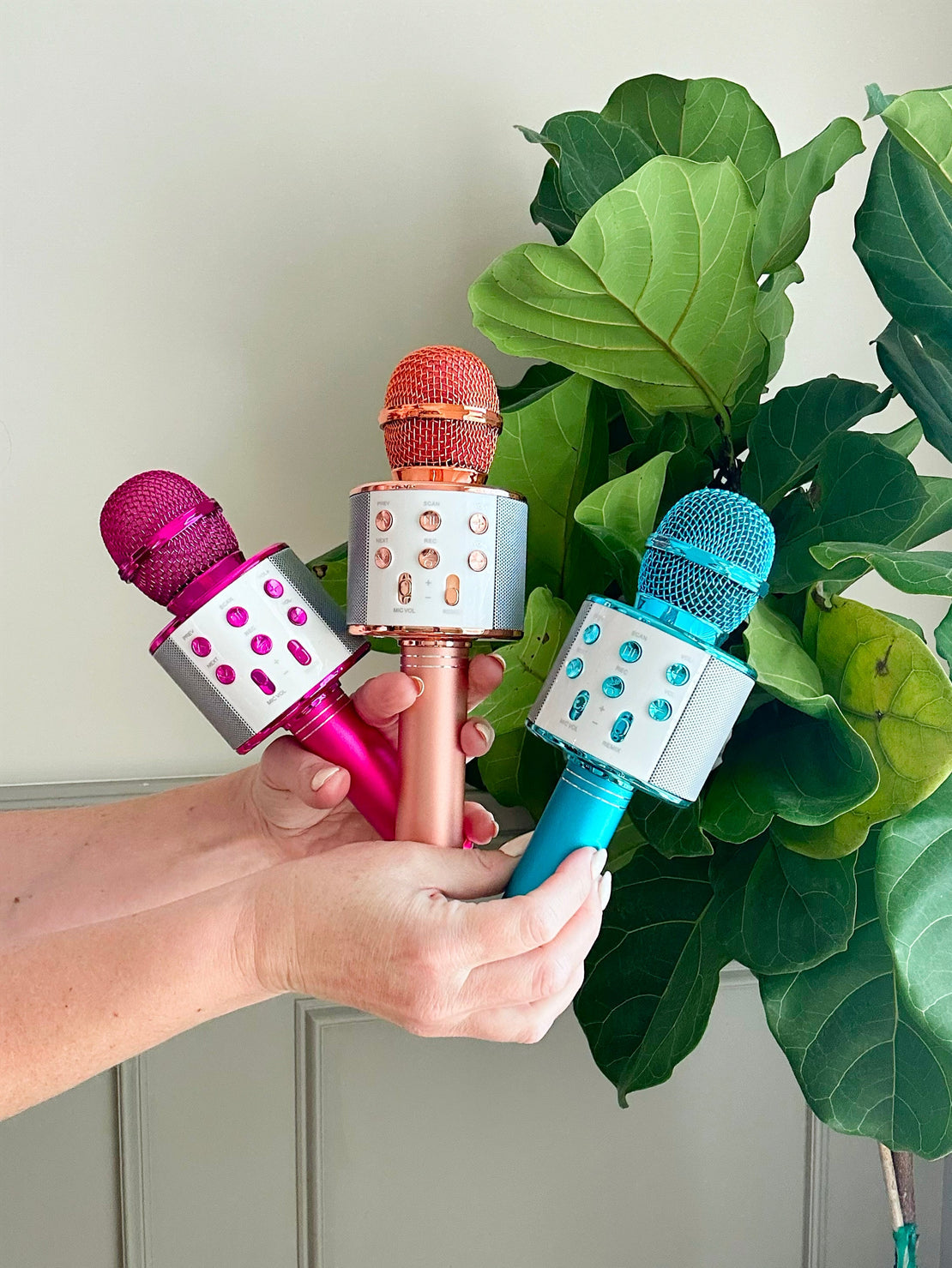 Microphone de karaoké aux couleurs assorties