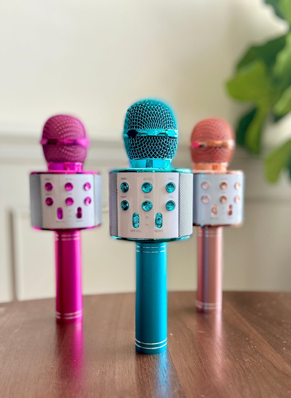Microphone de karaoké aux couleurs assorties