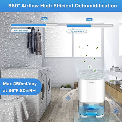 Déshumidificateurs 1000 ml