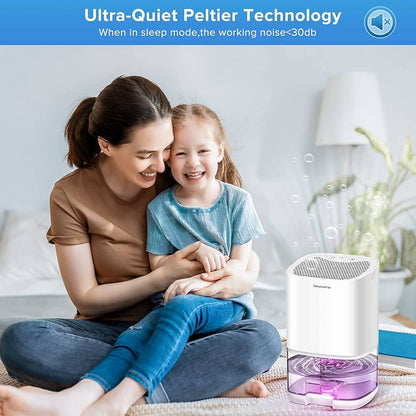 Déshumidificateurs 1000 ml