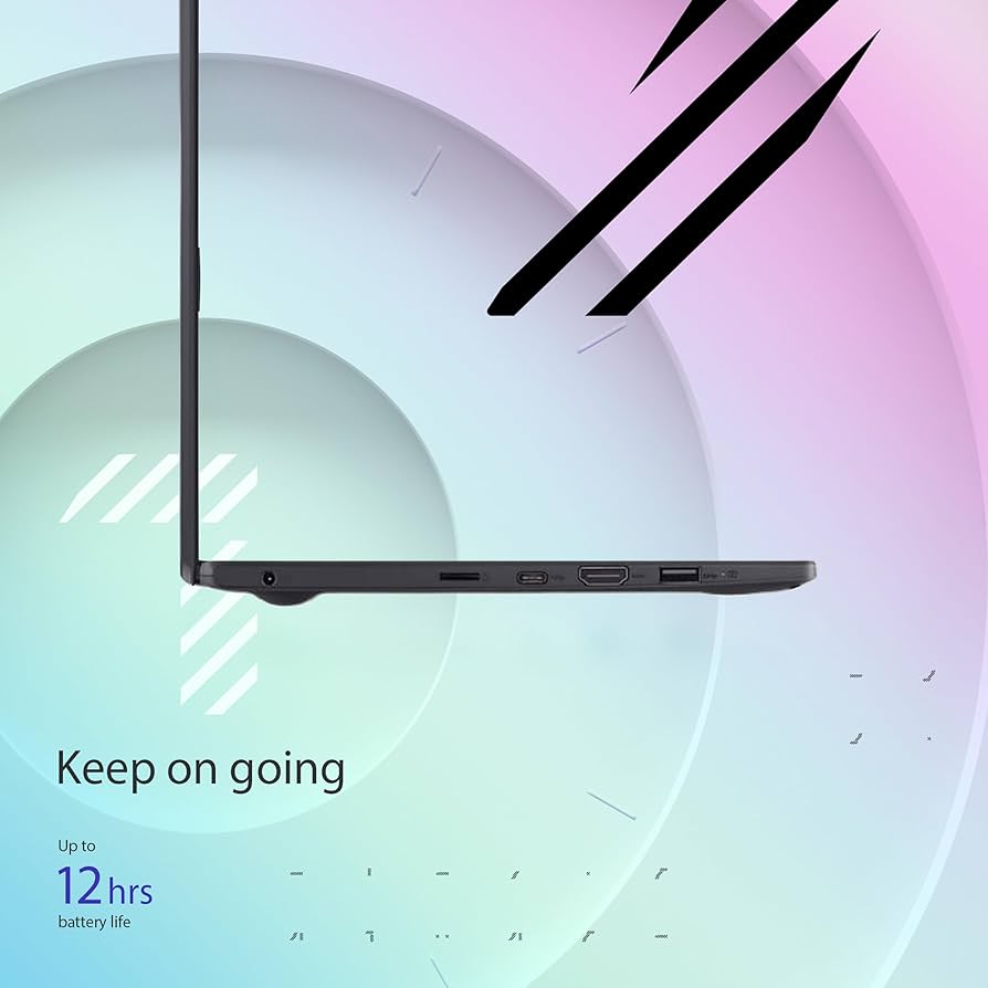 ASUS Vivobook Go 11,6" HD